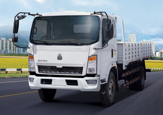 HOWO 4x2 빛 의무 상업적인 트럭은 저장 브라운 색깔 160hp 8.2t 뒤 축에 연료를 공급합니다