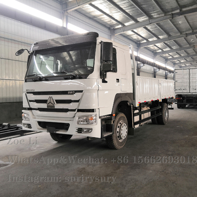 시노트루크 HOWO 등대세 4x2 중량 화물 트럭 290HP 박스 트럭 화물차 밴 상품